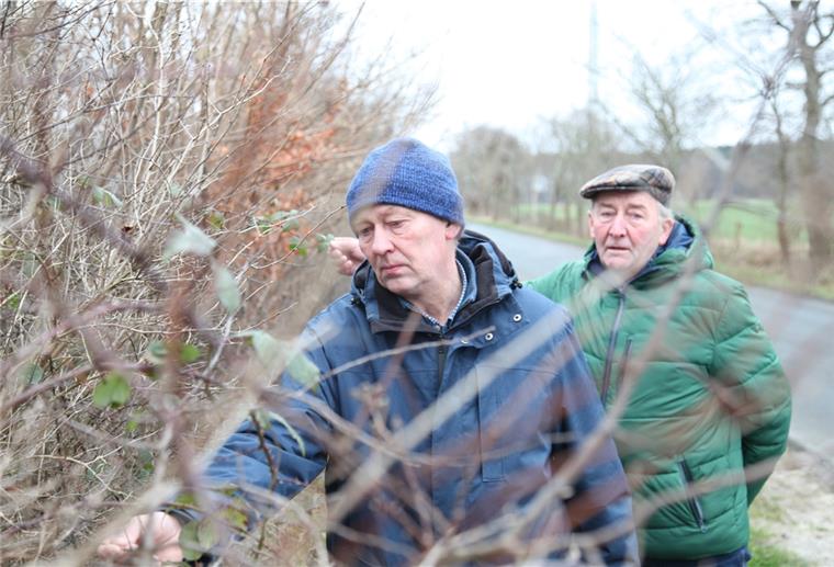 Gerd Hillmann aus Freldsdorf und Fritz Beinker von der Norddeutschen Landschaftspflegeschule in Geestenseth setzen sich für Wallhecken ein. 