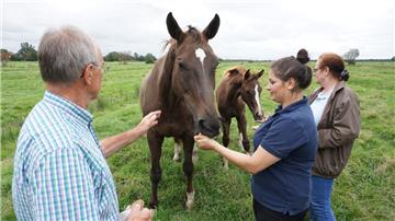 Gerhard von Holten besucht mehrfach am Tag seine geliebten Pferde und hat mit Antje und Lea Barkhausen Gleichgesinnte gefunden