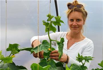 Market Gardening