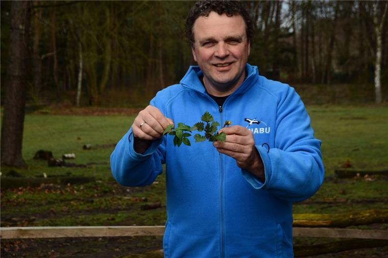 Giersch, Brennnessel oder Löwenzahn – in Sönke Hofmanns Garten finden sich zahlreiche leckere Sorten von Unkraut.