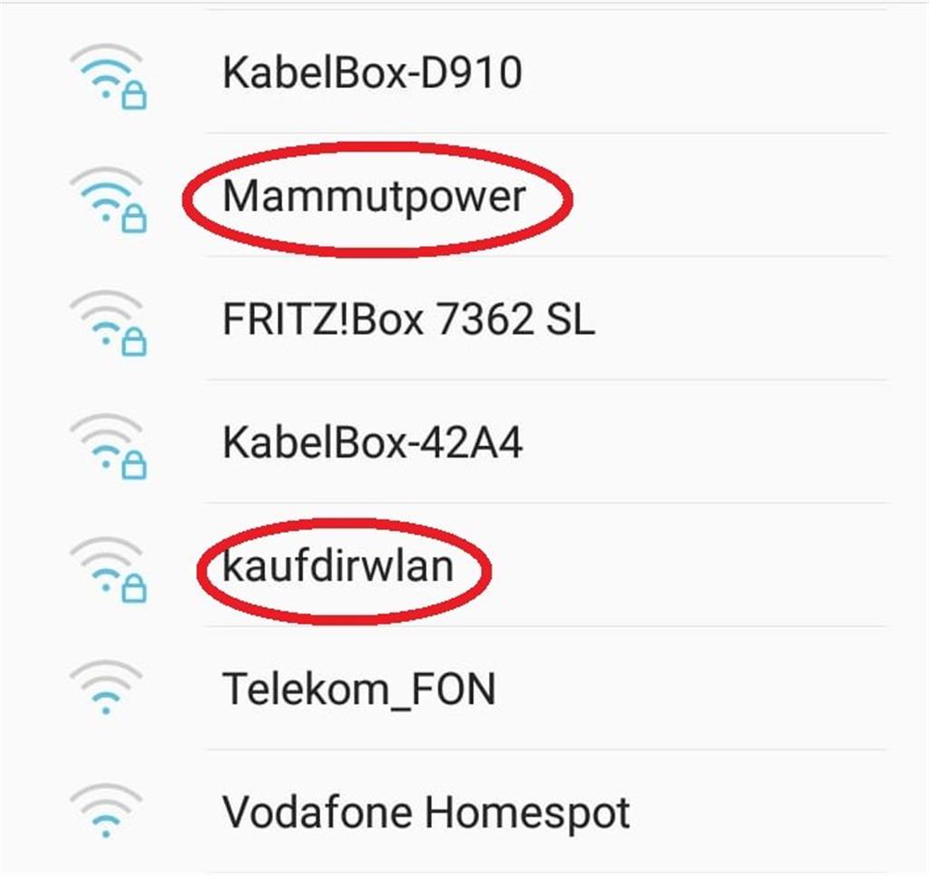 Gleich zwei schöne Namen an einem Ort: &quot;Mammutpower&quot; verspricht wohl extrem schnelles Internet und &quot;kaufdirwlan&quot; soll Schnorrer in ihre Schranken weisen. - Screenshot: Overschmidt