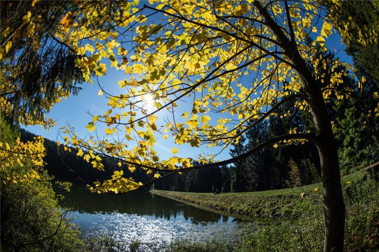 Bremerhaven und umzu: Noch einmal sonnig und warm Goldener Herbst: Die Sonne scheint über einem Teich.