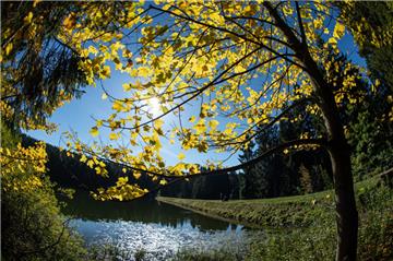 Goldener Herbst: Die Sonne scheint über einem Teich.  