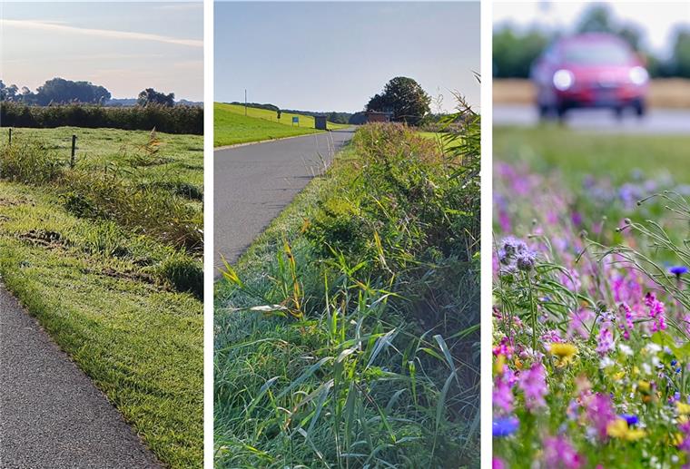 Golfplatzähnliche Seitenränder (links) ade: Dort, wo es die Verkehrssicherungspflichten erlauben, will die Gemeinde Wurster Nordseeküste Straßenränder künftig seltener und wechselweise mähen. Blühende Straßenränder (rechts) sind vorerst aber noch eine Vision.