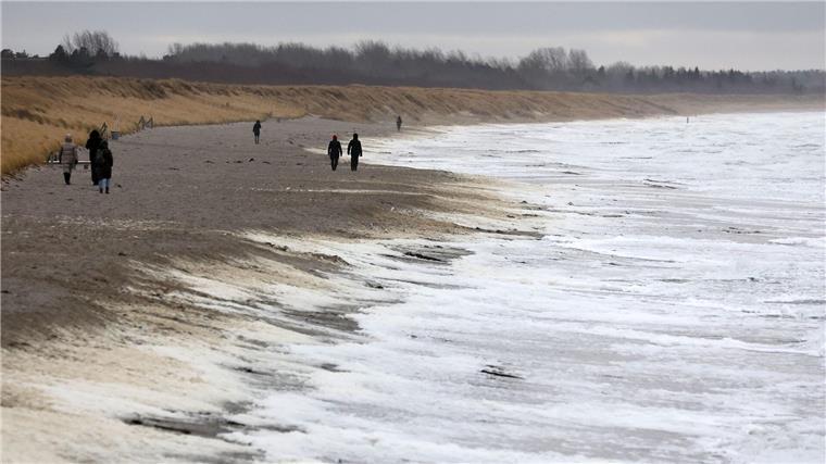 Meeresschaum laut Studie mit PFAS-Chemikalien belastet Greenpeace untersuchte für die Studie Schaumproben von Stränden an der deutschen Nord- und Ostsee. (Symbolbild)
