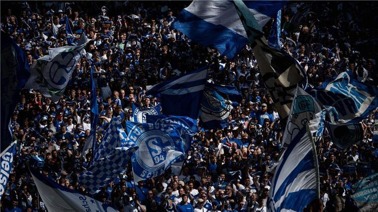 Köln setzt sich im Westduell gegen Schalke durch Große Kulisse in der Veltins-Arena.