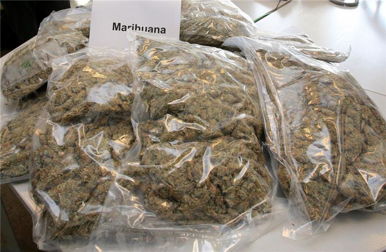 Große Mengen Marihuana hat ein 32-Jähriger nach Brake geschmuggelt. 