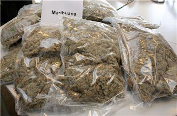 Große Mengen Marihuana hat ein 32-Jähriger nach Brake geschmuggelt. 