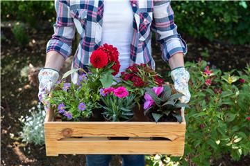 Großer Gartenwettbewerb bis zum 30. Juni