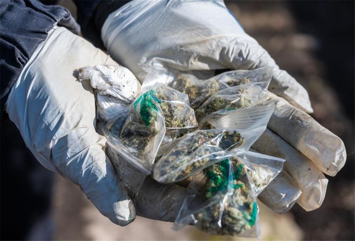19-Jähriger lockt sich selbst in die Falle: Polizei sammelt vergessenes Marihuana ein