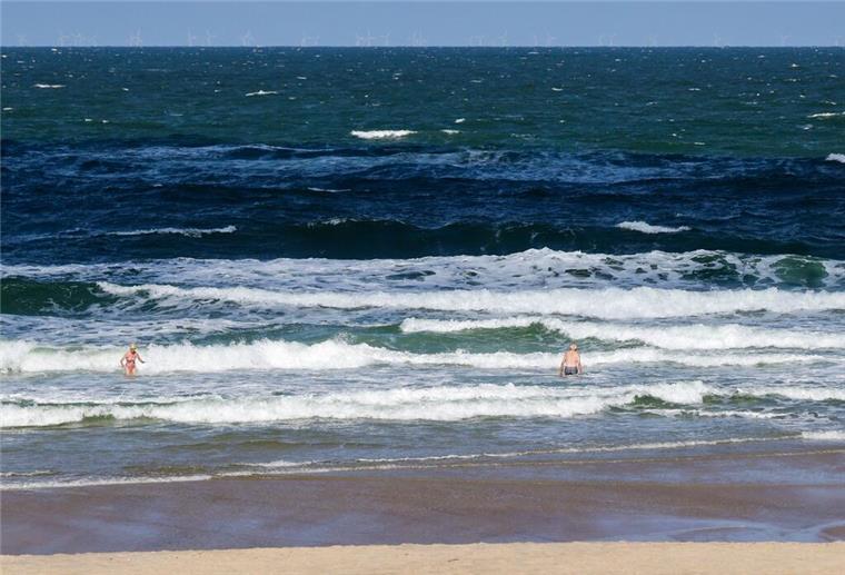 Haie in der Nordsee: Biologen setzen Tiere aus - und sorgen für Aufsehen Strandbesuchende stehen bei sommerlichem Wetter in der Nordsee-Brandung am Strand in Westerland.