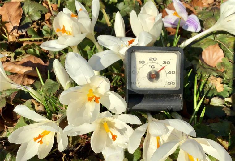 Temperaturen in Bremerhaven erreichen Top-Werte Handgemessen stieg das Thermometer am Mittwoch in Bremerhaven auf über 30 Grad.