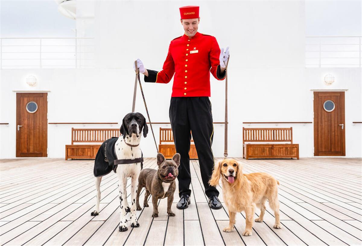 Kreuzfahrt-Regeln mit Haustier: Was an Bord erlaubt ist – und was nicht Ein Mensch mit drei Hunden auf einem Kruezfahrtschiff.