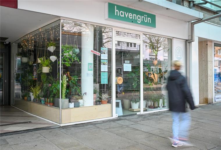 Havengrün bietet ein Sortiment, das man nicht woanders findet. 