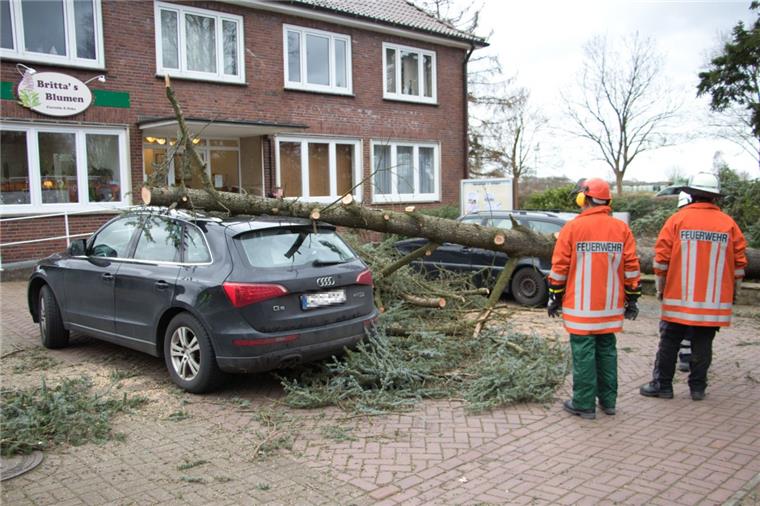 Heftiger Sturm in Schiffdorf: Baum fällt auf Autos Heftige Sturmböen haben in Schiffdorf-Sellstedt ihre Spuren hinterlassen.