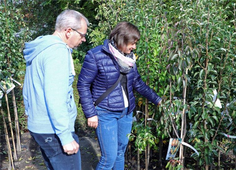 Heike und Wolfgang Tietjen haben drei Birnen-Favoriten, denn ein solcher Baum fehlt noch im Garten des Ehepaares.