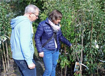 Heike und Wolfgang Tietjen haben drei Birnen-Favoriten, denn ein solcher Baum fehlt noch im Garten des Ehepaares.