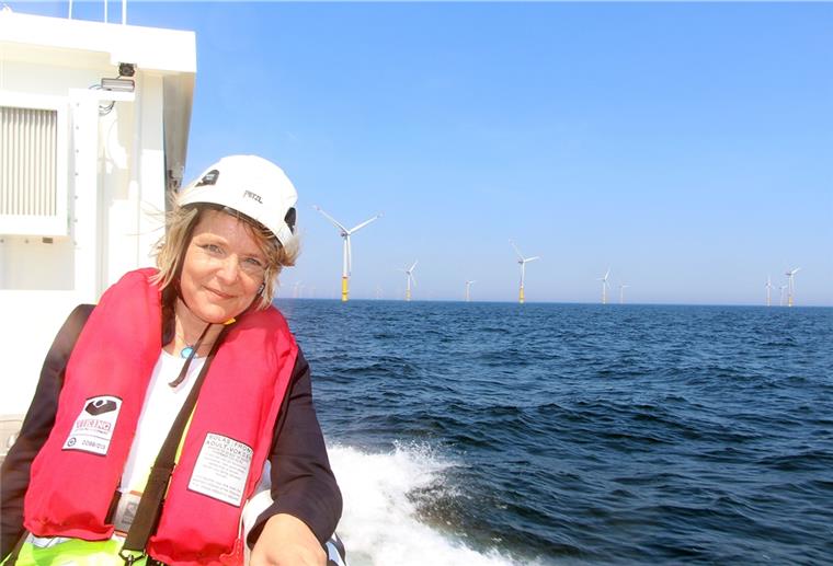 Branchenverband: Offshore-Terminal Bremerhaven wird gebraucht Heike Winkler ist Geschäftsführerin des Windenergie-Branchenverband und Innovationsclusters WAB.