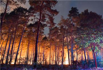 Hell erleuchtet ist ein brennender Wald nahe Klausdorf. Ein Feuer hat sich im Südwesten Brandenburgs auf einer großen Waldfläche ausgebreitet.