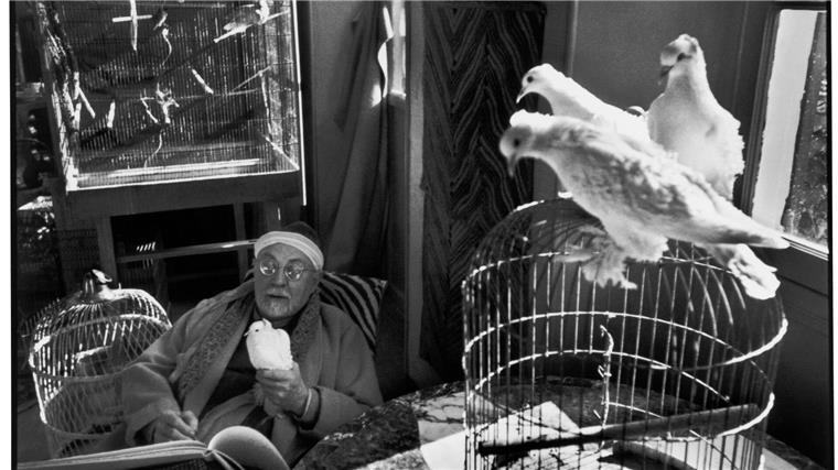 Henri Matisse ist nicht nur ein großer Maler, sondern auch ein großer Taubenfreund.