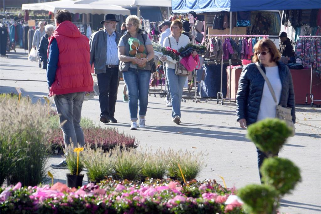 Herbstfest in der Grashoffstraße und Heideblütenfest auf dem Konrad-Adenauer-Pla...
