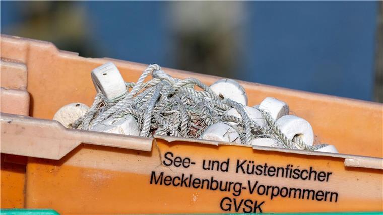 Heringe dürfen unter bestimmten Bedingungen beispielsweise mit Reusen auch kommendes Jahr gefangen werden.