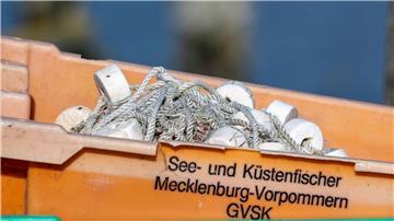 Heringe dürfen unter bestimmten Bedingungen beispielsweise mit Reusen auch kommendes Jahr gefangen werden.