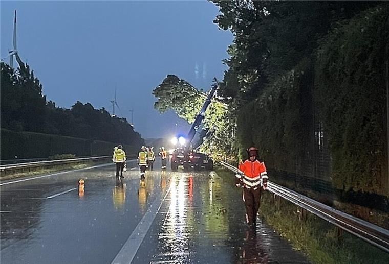 Hier droht ein Baum auf die A27 zu stürzen.