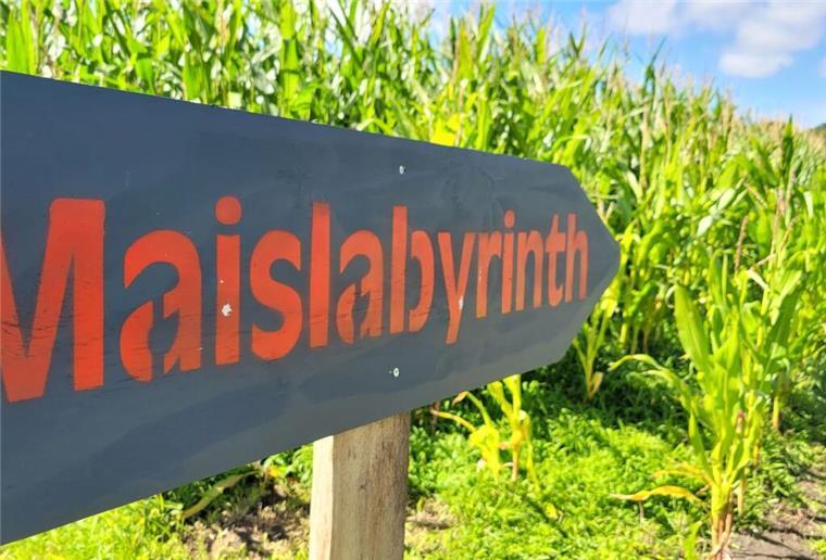 Maislabyrinth der Familie Roßmann
