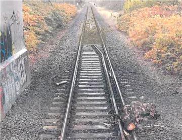 Hier hat der Täter Äste direkt auf die Schiene gelegt.