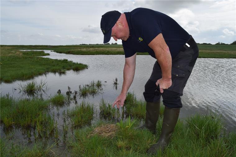 Er sorgt für den Naturschutz im Nationalpark Wattenmeer Hier hat sich ein Raubtier zu schaffen gemacht: Das Säbelschnäbler-Gelege wurde geplündert. „Als ich das letzte Mal hier war, lag hier noch ein Ei. Dass es jetzt weg ist, ist sehr schade“, sagt Penner.