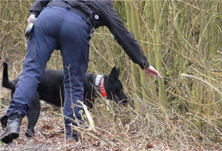 Hier ist ein Spürhund der Polizei Niedersachsen im Einsatz, um Hinweise zum Verbleib von Ekaterina zu erschnüffeln.