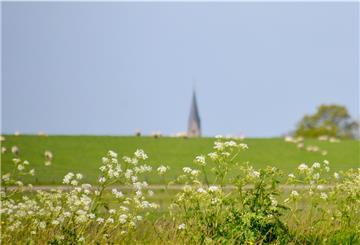 Hier ragt der Langwarder Kirchturm über den Butjadinger Deich. Die Gemeinde kann mit viel Landschaft und Natur punkten - auch ohne Biosphärenregion, meinen diejenigen, die einen Beitritt ablehnen.