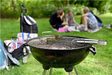 Hier wird im Bremerhavener Bürgerpark ordnungsgemäß gegrillt.