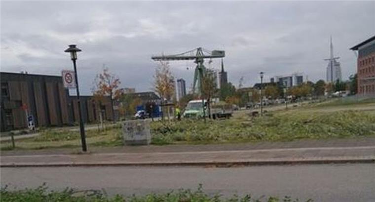 Bremerhaven: Agentur für Arbeit fällt 33 Bäume Hinter der Agentur für Arbeit in Bremerhaven wurden 33 Bäume gefällt.