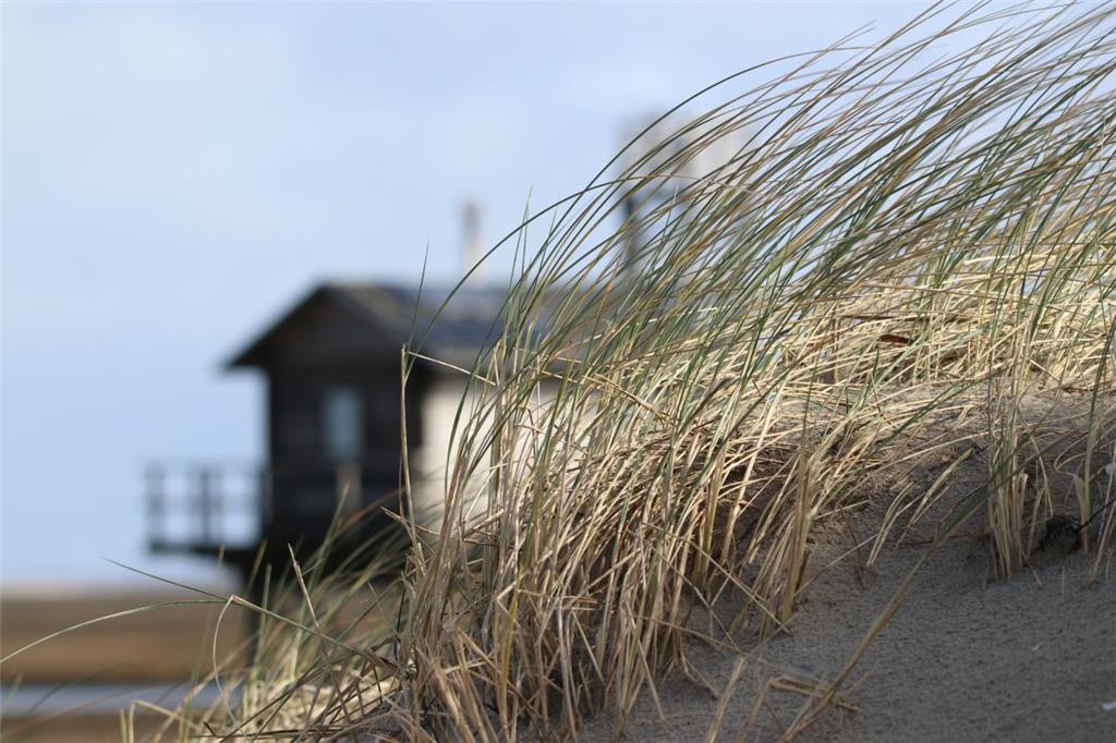 Hinter der Düne versteckt sich die Stelzenhütte – bis Oktober das Zuhause von An...