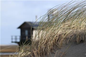 Hinter der Düne versteckt sich die Stelzenhütte – bis Oktober das Zuhause von An...