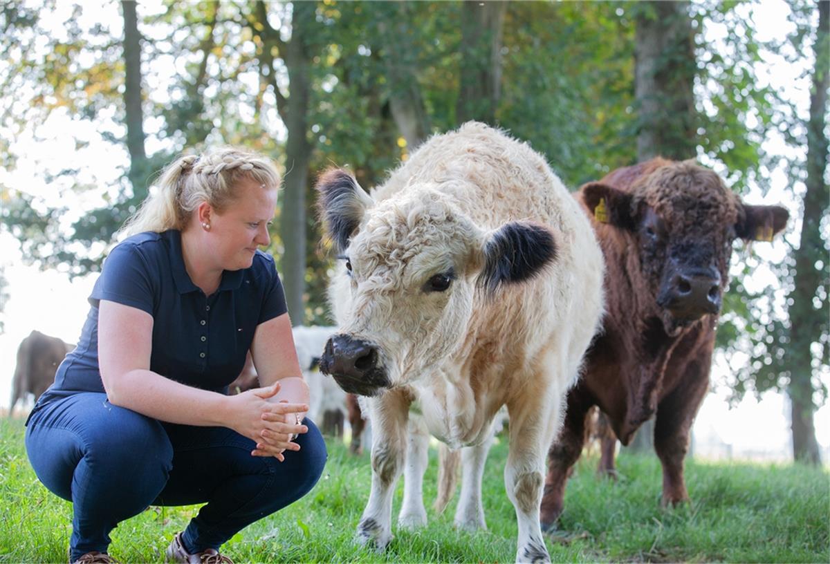 Cow-Sharing in Otterndorf: Erst verkaufen, dann schlachten Hjördis Plate züchtet zottelige Galloways. Auf Weiden rund um ihren Hof in Otterndorf werden die Tiere groß.
