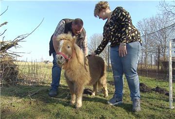 Hobby-Geflügelzüchter Leif (33) aus Morgenland wohnt nicht mehr alleine auf seinem Hof. Stephanie (29) ist zu ihm gezogen. Das Pony ist ein Geschenk an seine Liebste.