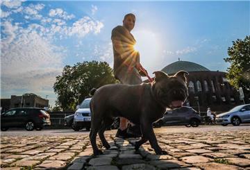  Ein Mann geht am Morgen mit seinem Hund in Düsseldorf spazieren. 