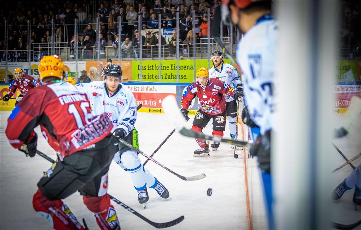 Hohes Tempo war drin im „Spitzenspiel der Außenseiter“ zwischen den Fischtown Pinguins und den Straubing Tigers.