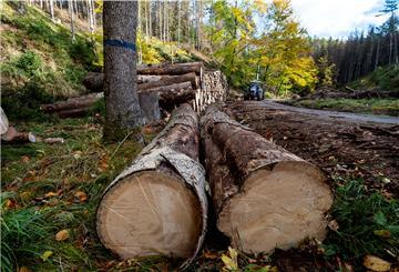 Holz für den heimischen Kaminofen - damit kann man sogar Geld sparen