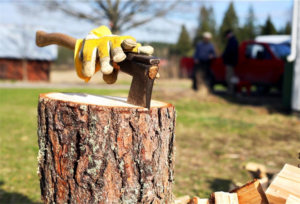 So zerkleinert man Holz mit wenig Aufwand Holz selbst zu hacken, ist deutlich günstiger, Experten raten aber doch zum Holzspalter.