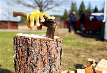 Holz selbst zu hacken, ist deutlich günstiger, Experten raten aber doch zum Holzspalter.