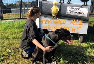 Hündin Paula kommt aus schlechter Haltung und hatte in ihrem Leben noch nicht besonders viel Glück. Sie lebt im Tierheim Bremerhaven und sucht ein neues Zuhause.