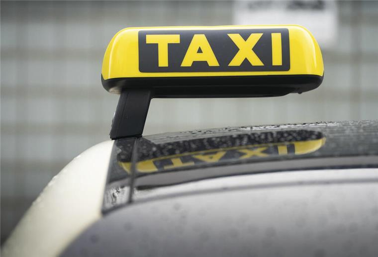 Taxi mit Hund: Was erlaubt ist und was nicht