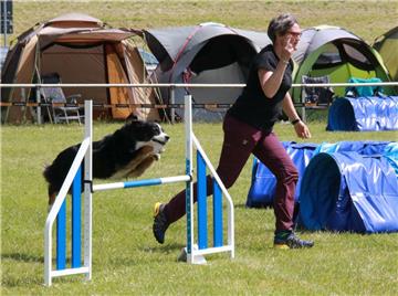 Hund und Frauchen sind hier ein eingespieltes Team mit gleichem Tempo. Foto: Bau...