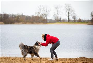 Hunde sollten jetzt auf jeden Fall immer angeleint sein. Darum bittet der BUND.