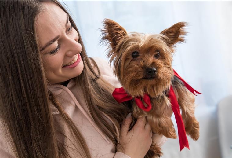 Hunde und Co. sollten nicht einfach so verschenkt werden, warnen Tierschützer. Denn mit einem Tier gehen auch viel Verantwortung und Verpflichtung einher, das sollte man vorher gut abwägen. 