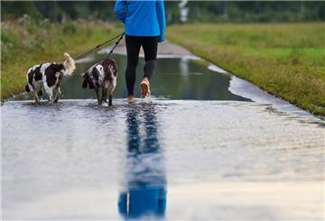 Eine Frau läuft am Morgen mit ihren Hunden auf einem vom Regen überfluteten Weg durch das Wasser 